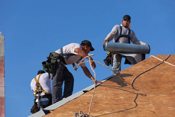 Best Metal Roofing Contractor  in Holloman Af, NM