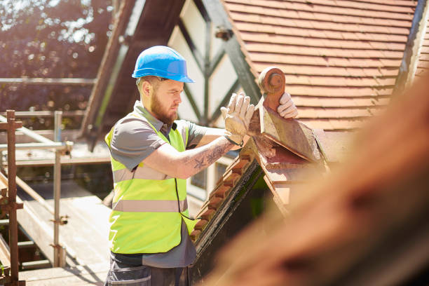 Best Roof Gutter Cleaning  in Holloman Af, NM